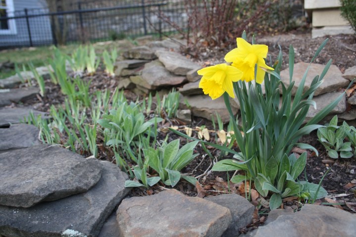 2016-04-02 17.49.49