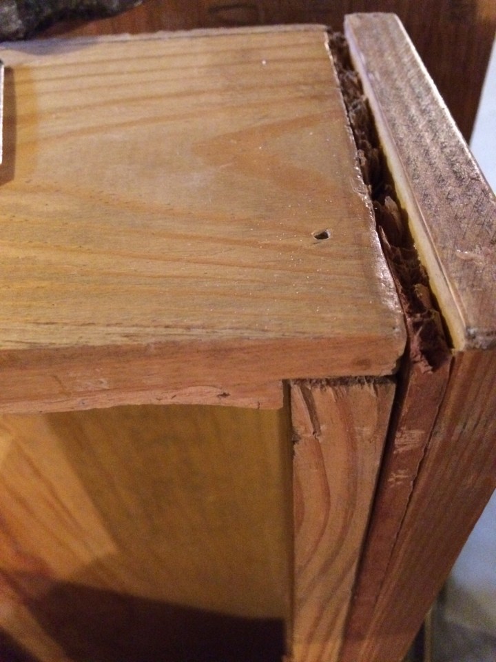 Photo Jan 29, 3 29 43 PM