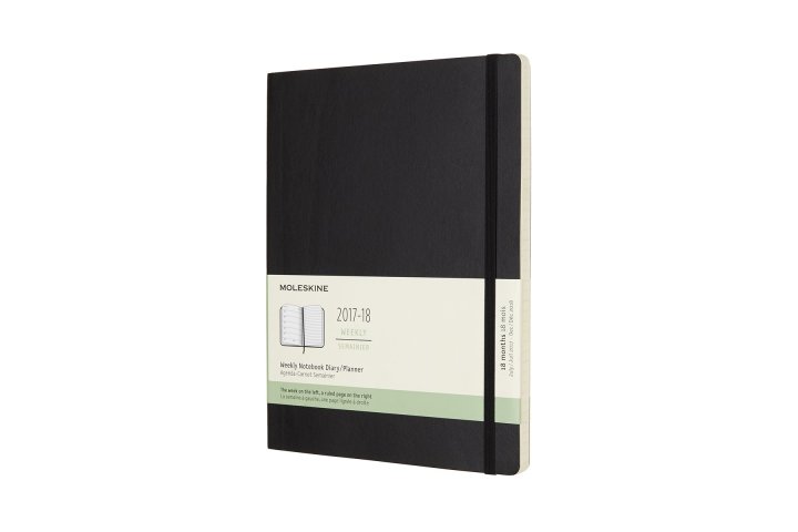 moleskin