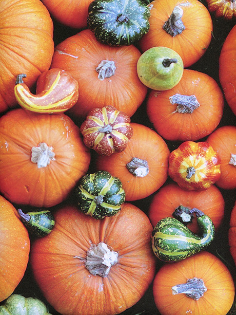 pumpkins
