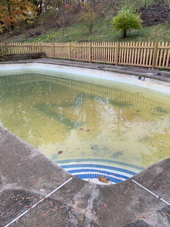 59369777644__d301e396-50b9-4e08-bb80-9b1c02d06fdd