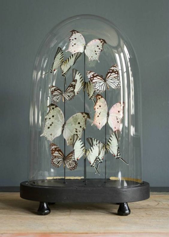 7dc256fb26086221ca06b49d4bfd75dc