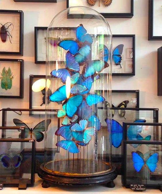 b2da7ada286ea5f941900dc6076e4563