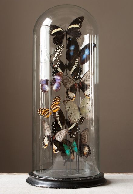 d25c92434862c0d50c672e4522918278