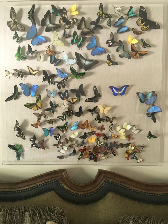 e44d219d0f5a61c4d525d23c5267b1eb (1)