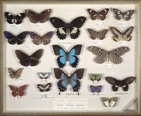 fdeffec234fbdf0018cbc56cdfe6737b